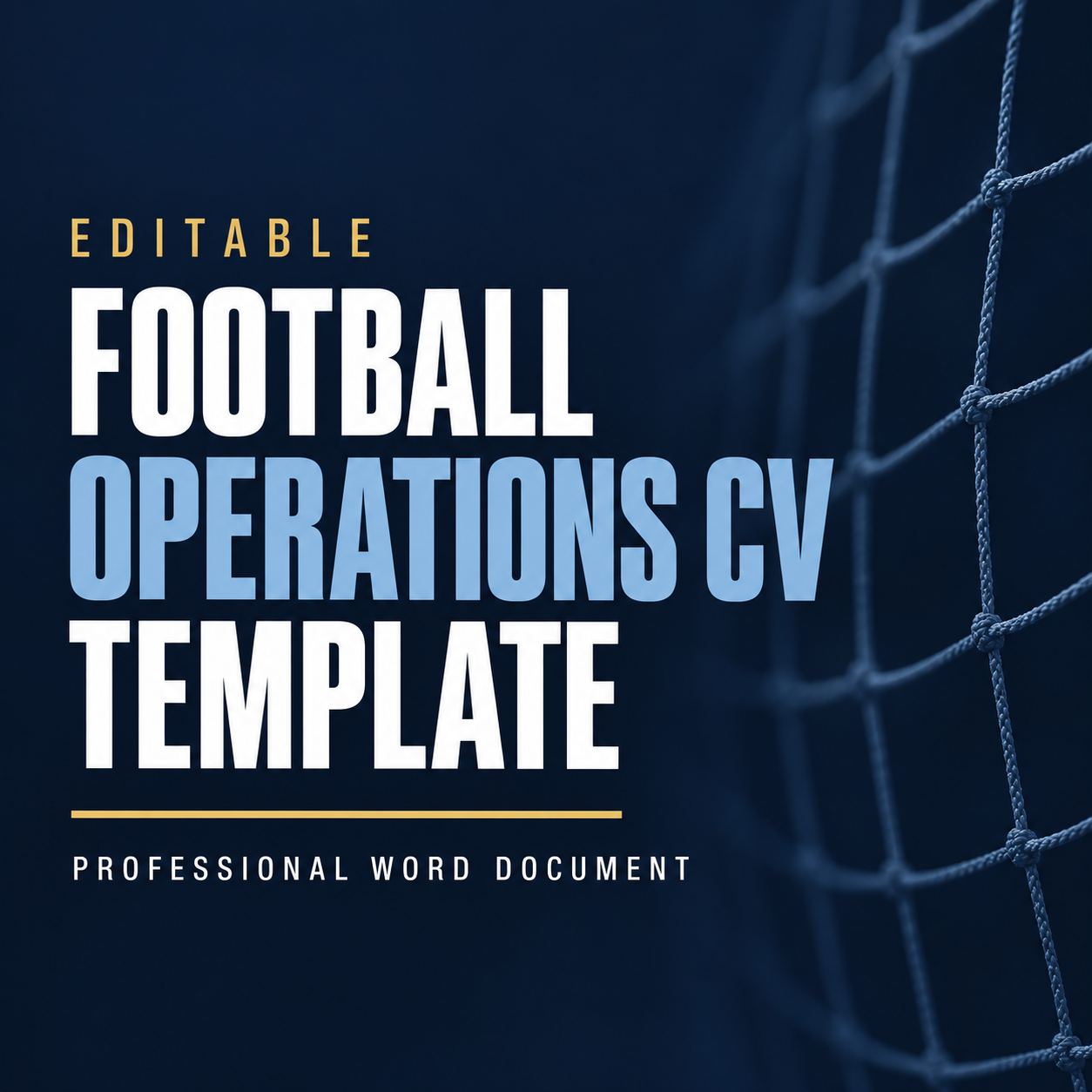 Editable Technical Director CV Template