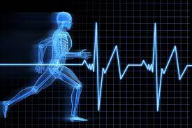Sports Science in Professional Football: How to choose your battles?