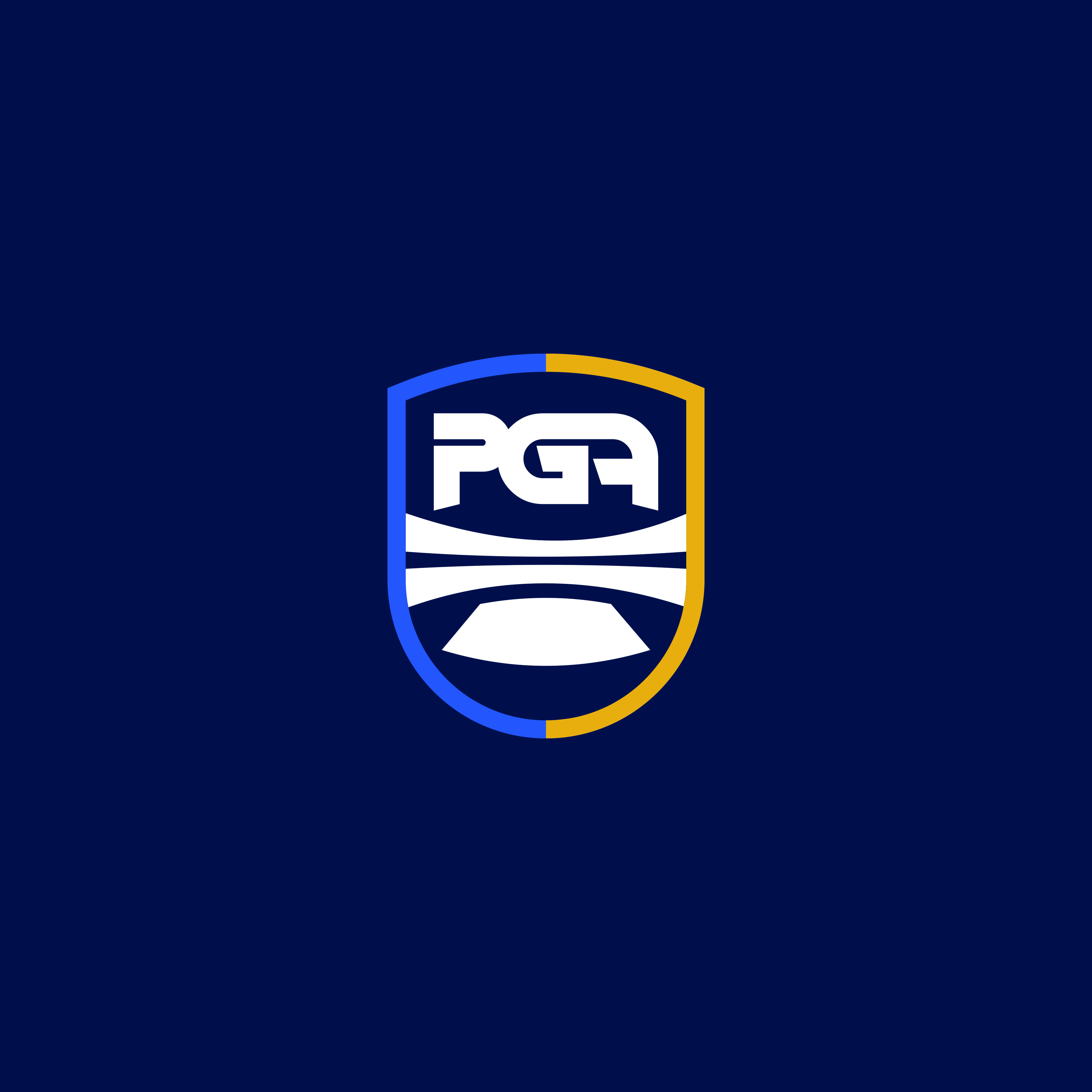 Pro Generation Academy logo
